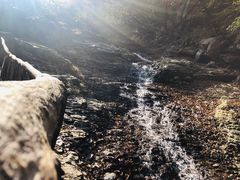 -龙道沟景区