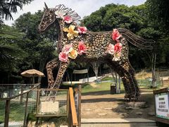 -杭州开元森泊度假乐园