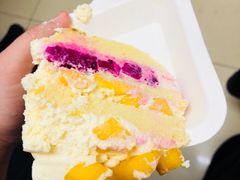 -维尔纳斯·生日蛋糕·动物奶油冰淇淋蛋糕(六里桥店)