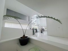 景点-罗红摄影艺术馆