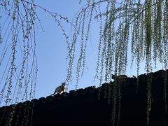 -柳莺湖上·湖景餐厅·江南菜(西湖店)