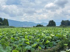 -怡得观滇餐厅·地道昆明菜·1996(海埂大坝店)
