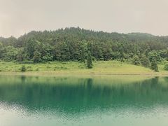 -武陵山森林公园
