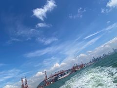 -招商蛇口邮轮母港(观光客运)