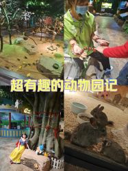 -酷嗒动物文化乐园(cutezoo西溪乐天城店)