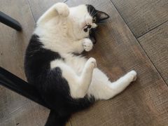 -路易时光(蕴川路店)