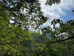 -东天目山风景区