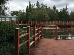 -才村湿地公园