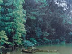 -深圳仙湖植物园