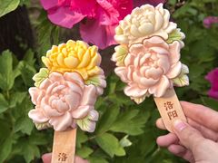 -洛阳市隋唐城遗址植物园