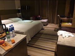 -扬州绿地铂骊酒店