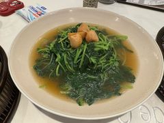 -翠园(北京王府中环店)