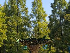 -黄海国家森林公园