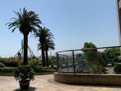 -舟山希尔顿酒店