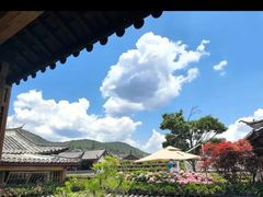 -内涵饵块