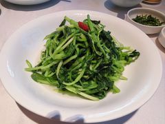 鸡毛菜清炒-森隆饭庄(崇文门新世界百货店)