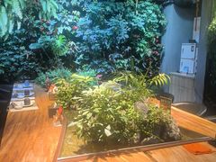 -森味薪火烧•烧鸟居酒屋•日本料理(望京店)