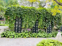 -碑林公园