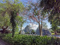 -森波拉奇妙世界