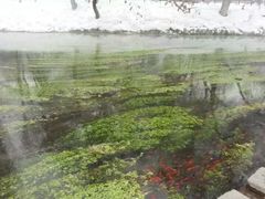 -水磨沟公园