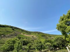 -缥缈峰景区
