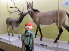 -国家自然博物馆