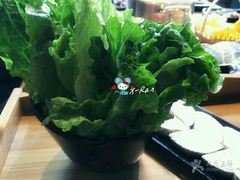 娃娃菜-手选潮汕鲜活牛肉火锅(二七广场店)