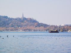 -知味观(湖滨店)