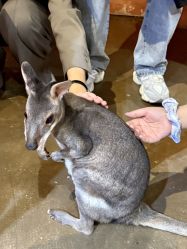 -Zoolung Zoolung动物主题公园(海信广场店)