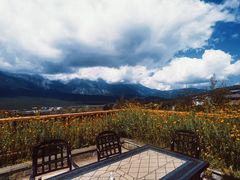 -丽江金茂璞修雪山酒店-雪景阁餐厅