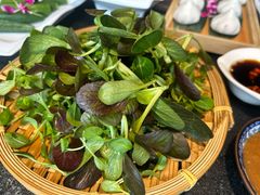 -大匠工房古船木艺术餐厅·猪肚鸡专门店(长白仙岛店)