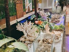 -北京汉斯特自助烤肉(临朐店)