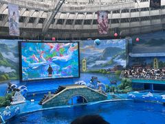 -海合安成都极地海洋公园