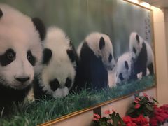 -成都驻京办餐厅(蜀都宾馆店)