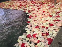 -大江户·温泉洗浴(浑南店)