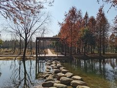 -柳鹭田园区