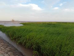 -南汇嘴观海公园