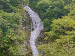 -黑河国家森林公园