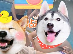 -重庆海昌加勒比海水世界