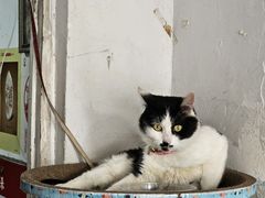 -三代人传统冒菜