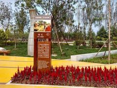 -武清南湖绿博园