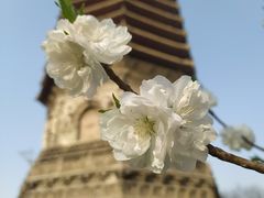 -玲珑塔公园