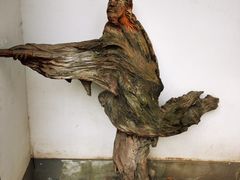 -成都杜甫草堂博物馆
