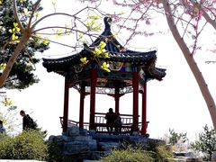 -大兴滨河森林公园