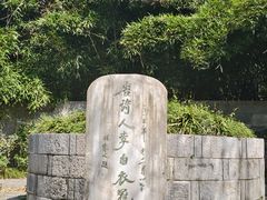 -采石矶景区