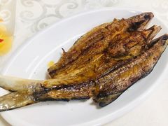 -光头匠