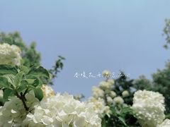 -济南植物园