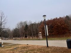 -长春世界雕塑园冰雪艺术天地