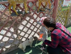 -萌宠亲子动物乐园(槐房万达店)