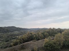 -御道口草原森林风景区